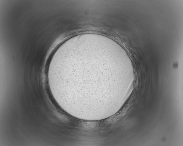 X0000116660102201001251226