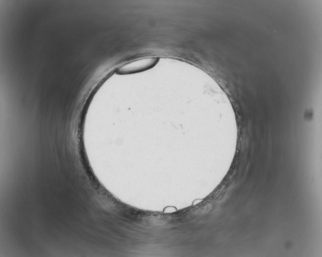 X0000116660103201001251226