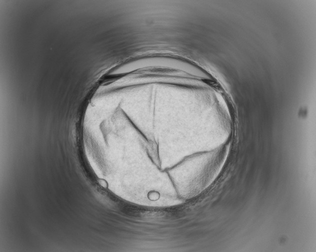 X0000116660105201001251226