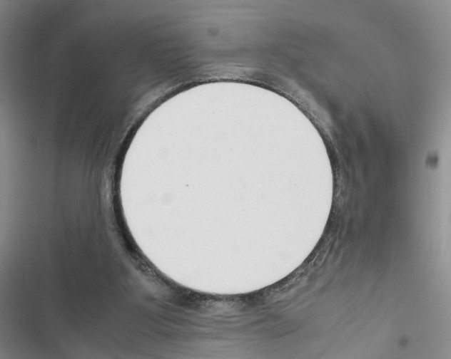 X0000116660107201001251226
