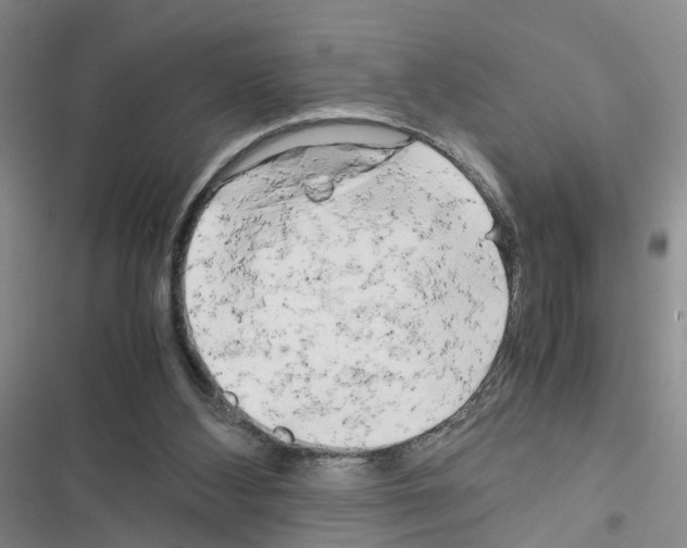 X0000116660108201001251226