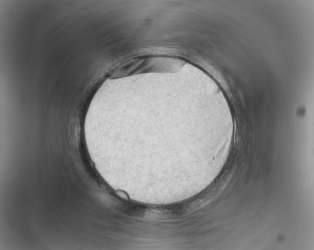 X0000116660109201001251226