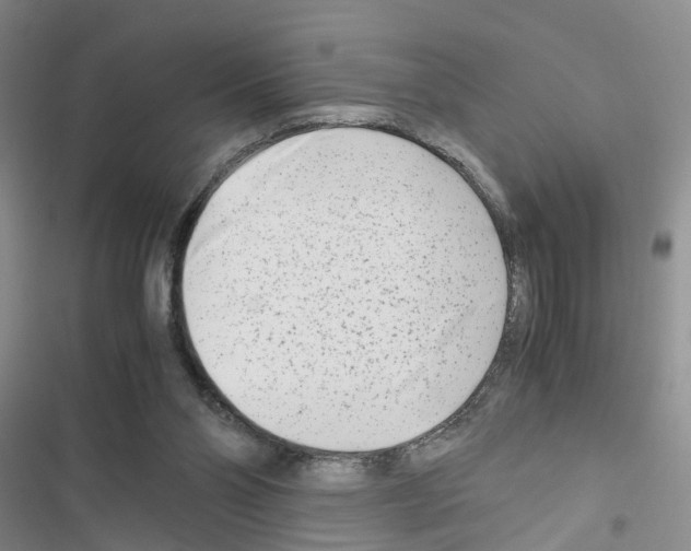 X0000116660110201001251226
