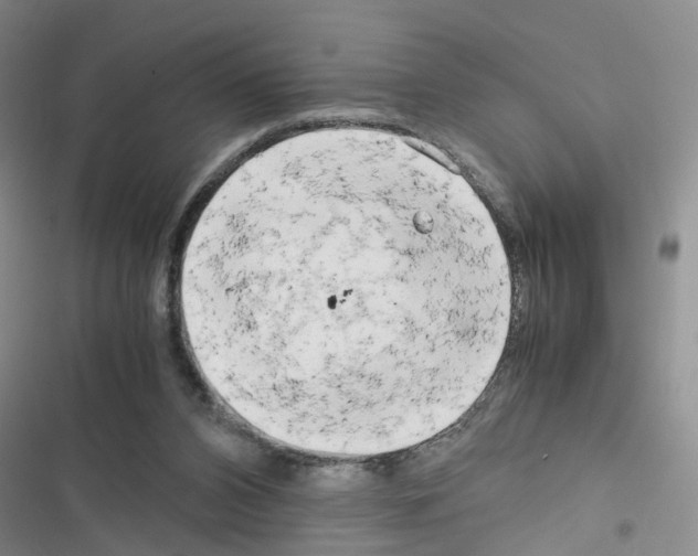 X0000116660112201001251226