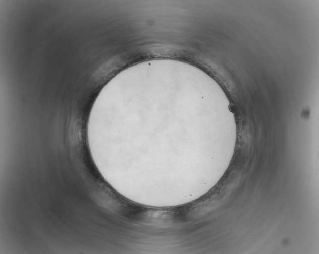 X0000116660117201001251226