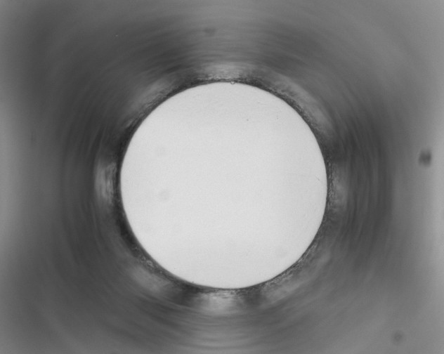 X0000116660118201001251226