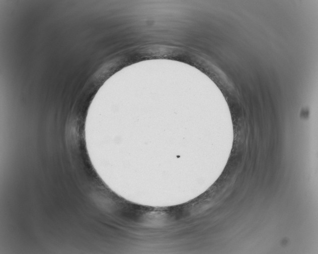 X0000116660119201001251226