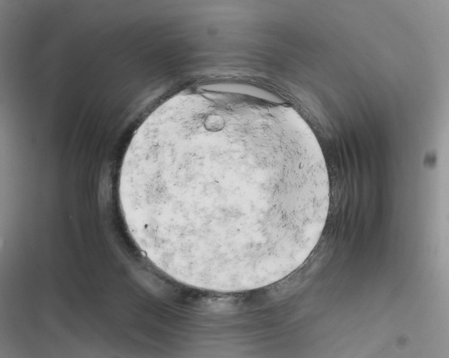 X0000116660120201001251226