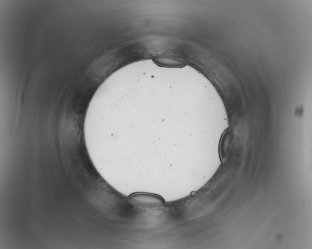 X0000116660121201001251226