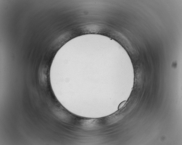 X0000116660122201001251226