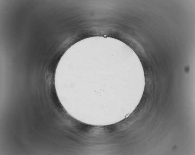 X0000116660123201001251226
