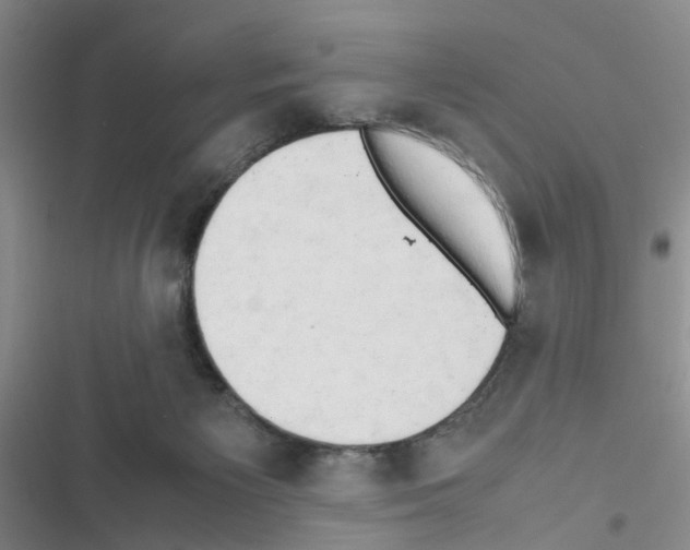 X0000116660125201001251226