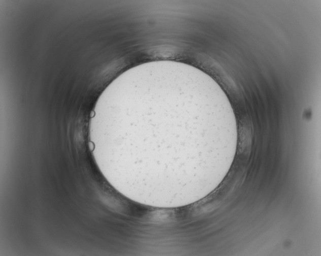 X0000116660126201001251226