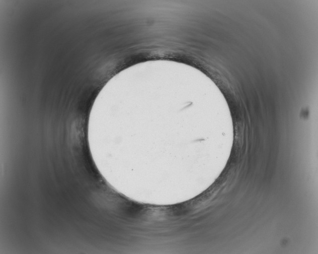 X0000116660127201001251226