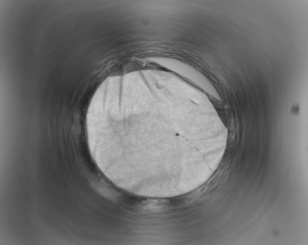 X0000116660128201001251226