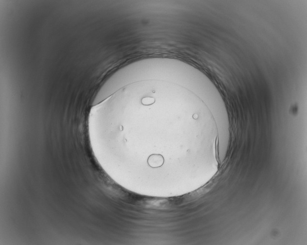 X0000116660132201001251226