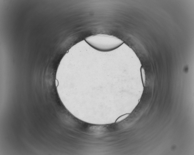 X0000116660133201001251226