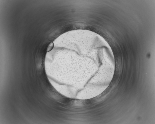 X0000116660134201001251226