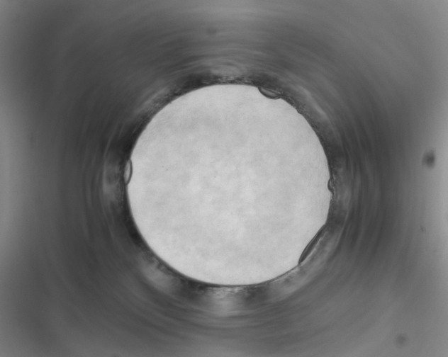 X0000116660136201001251226