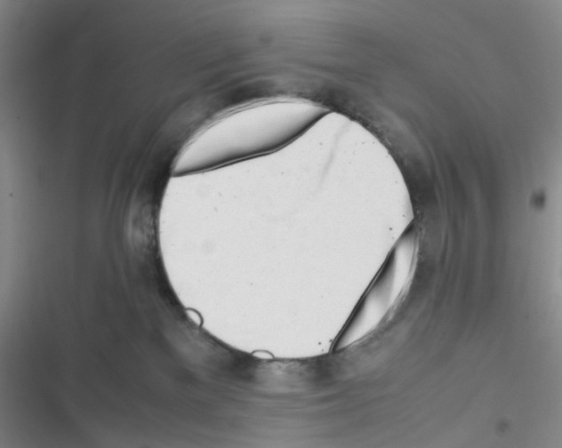 X0000116660137201001251226