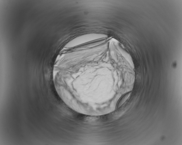 X0000116660139201001251226