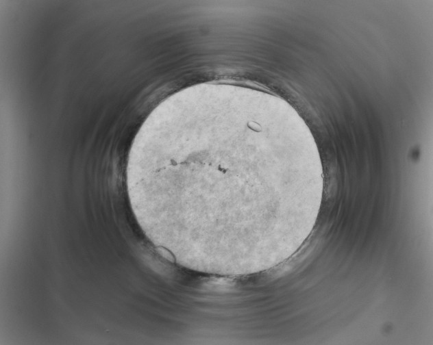 X0000116660140201001251226