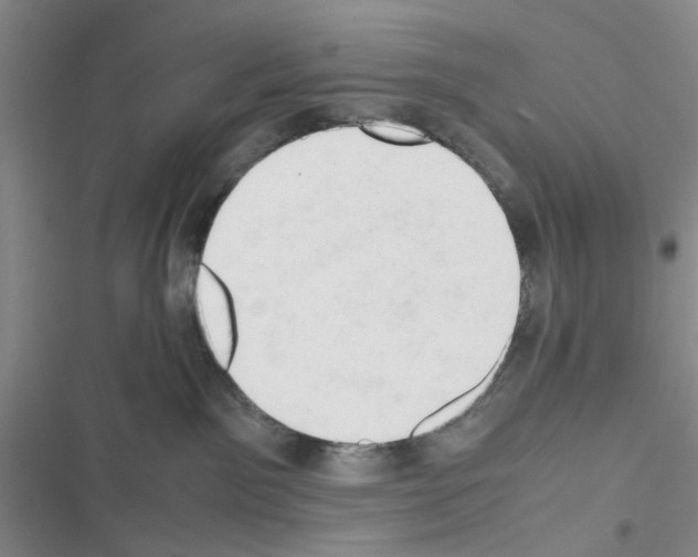 X0000116660141201001251226