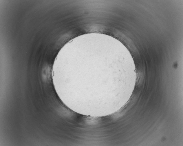 X0000116660142201001251226