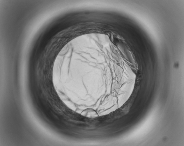 X0000116660143201001251226