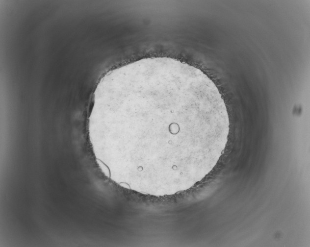 X0000116660144201001251226