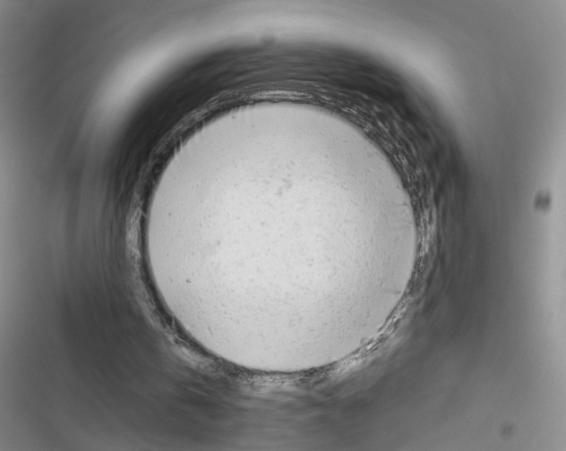 X0000116660146201001251225
