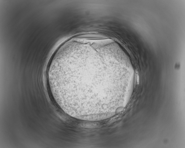 X0000116660147201001251225