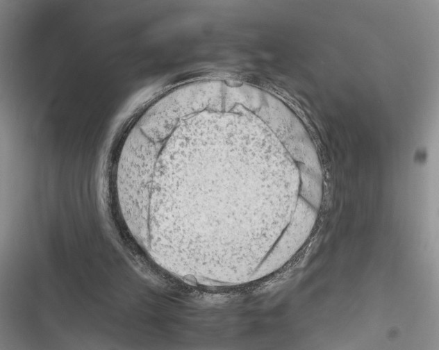 X0000116660149201001251225