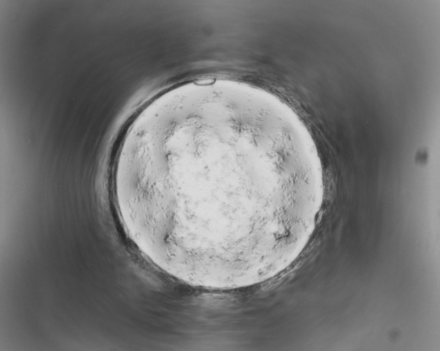 X0000116660150201001251225