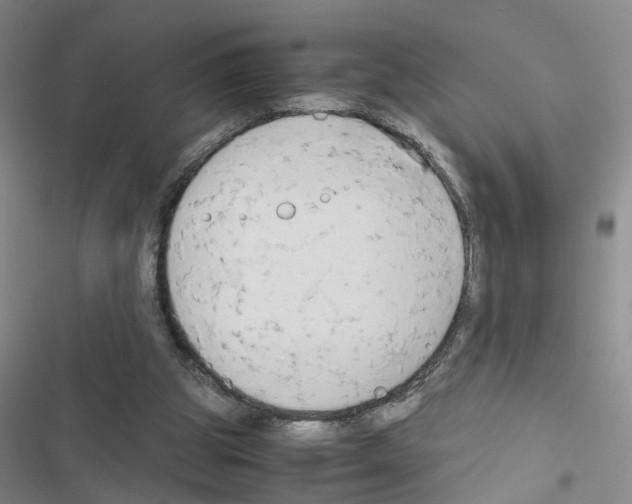 X0000116660153201001251225