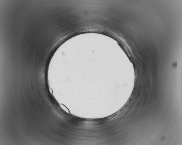 X0000116660154201001251225