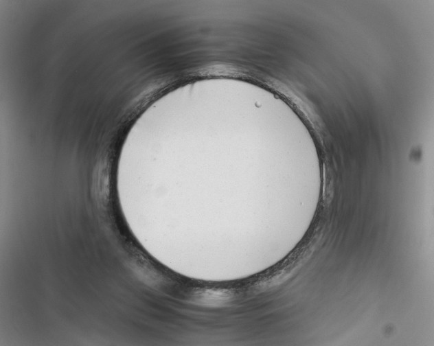 X0000116660157201001251225