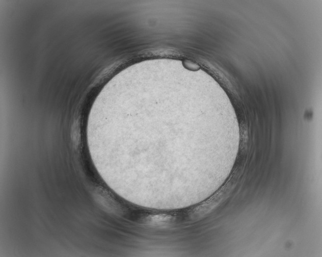 X0000116660158201001251225