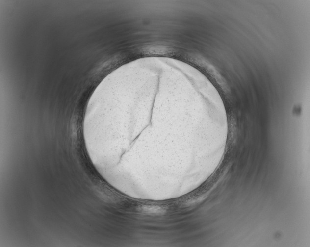 X0000116660161201001251225