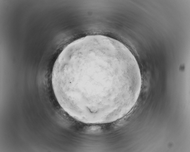 X0000116660162201001251225