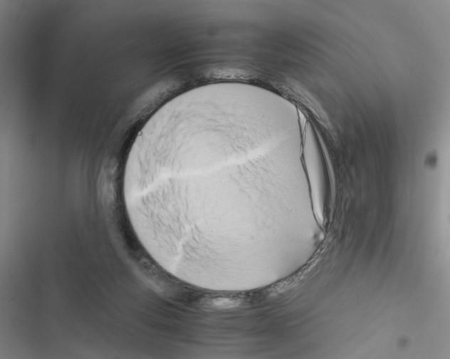 X0000116660163201001251225