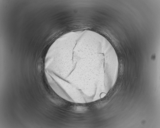 X0000116660165201001251225