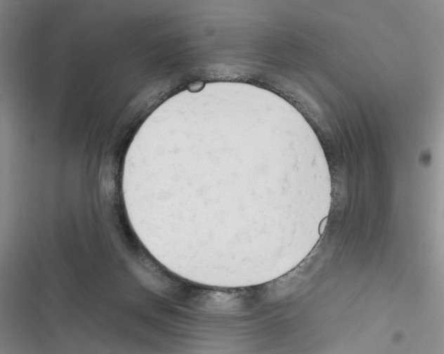 X0000116660166201001251225