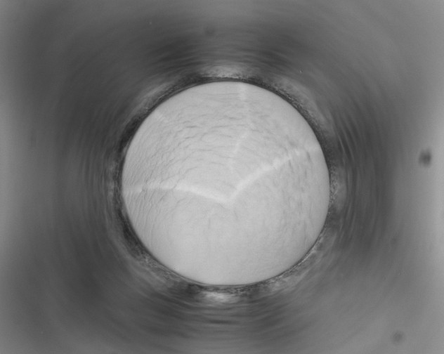X0000116660167201001251225