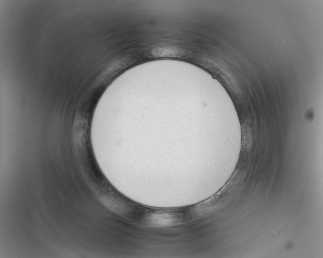 X0000116660171201001251225
