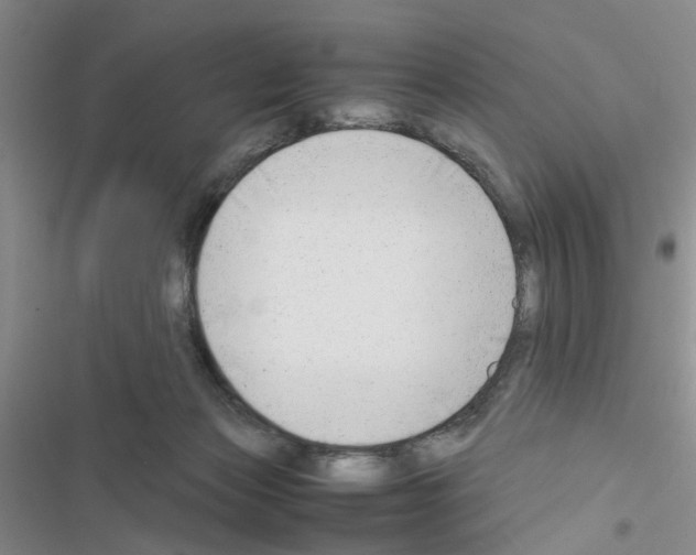 X0000116660173201001251225