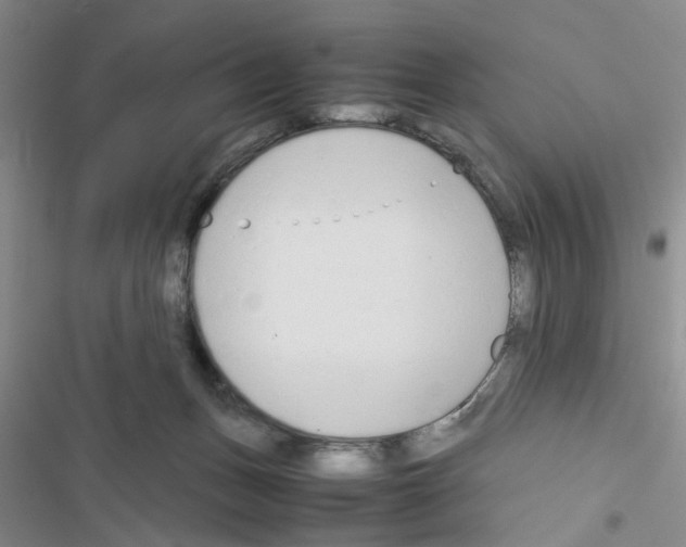 X0000116660175201001251225