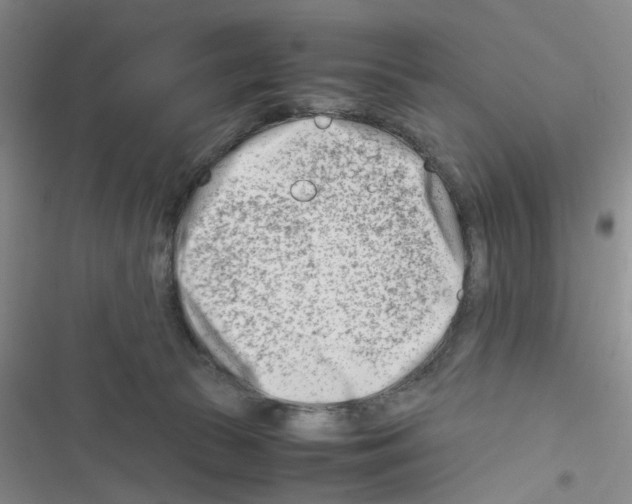X0000116660177201001251225
