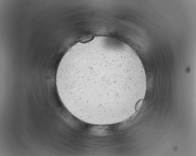 X0000116660179201001251225