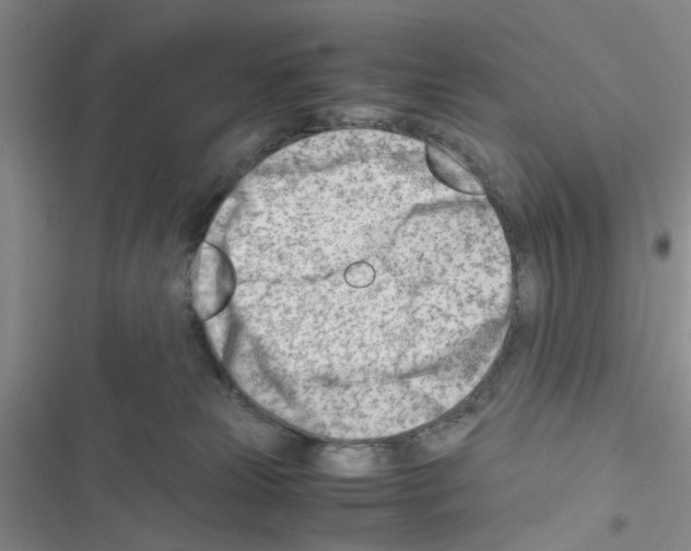 X0000116660181201001251225